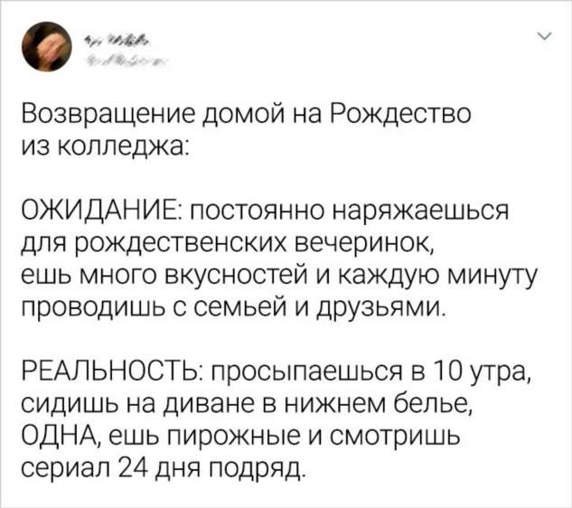 15+ раз, когда люди хотели прочувствовать дух Рождества, но что-то пошло не так