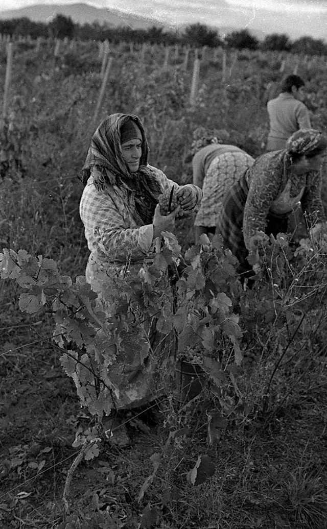 Повседневная жизнь в советской Грузии 1976 года в фотографиях шведского фотографа Грузия,история