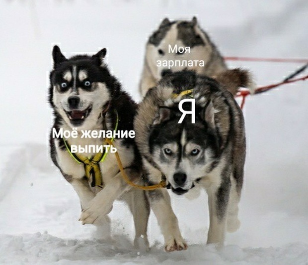 Подборка прикольных картинок Подборка прикольных картинок позитив