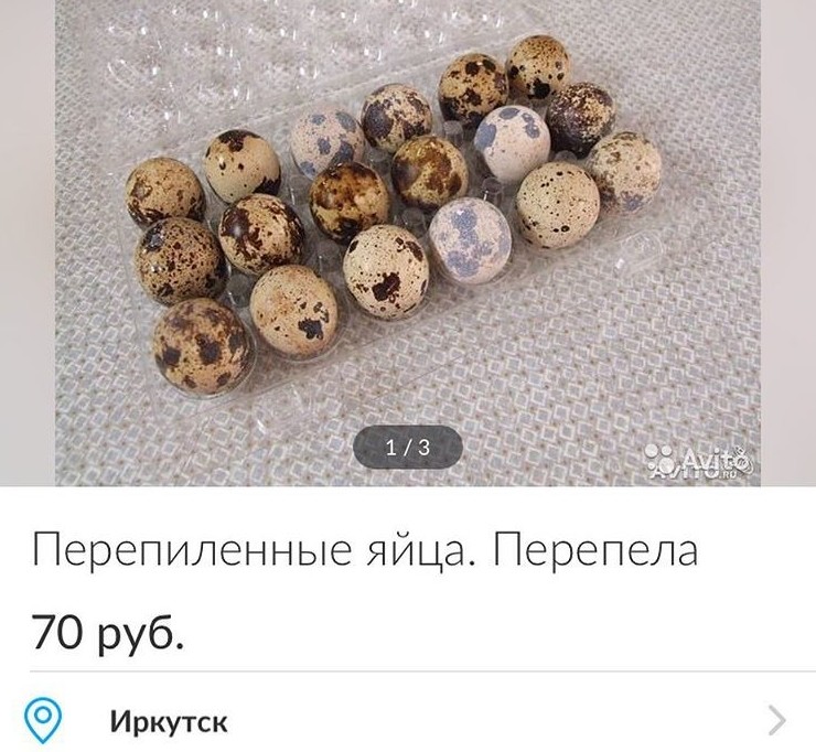 Баба с дедом пилили- пилили, не перепилили, мышка бежала, чем-то махнула и, оп-па, все яйца перепиленные Граммар-наци, безграмотность, всячина, интересное