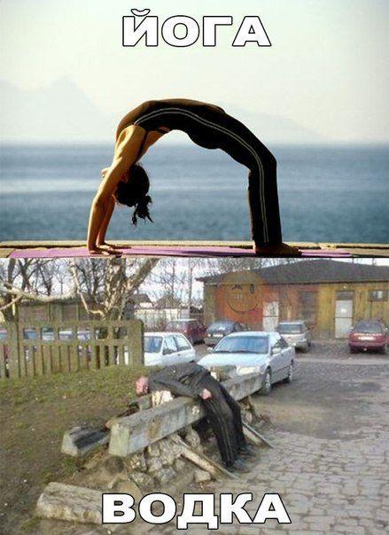 Сборная юмора для позитивного дня Сборная юмора для позитивного дня