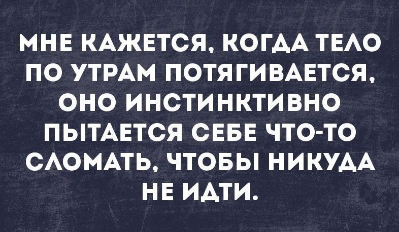 Минутка добра, юмора и житейской мудрости для отличного дня 