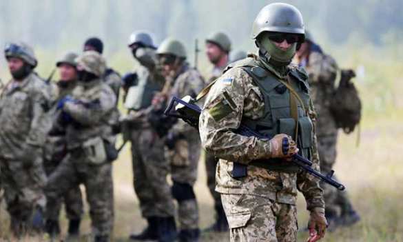 «На месте будем убивать»: украинские военные идут маршем «освобождать Крым и Кубань» (ВИДЕО) | Русская весна
