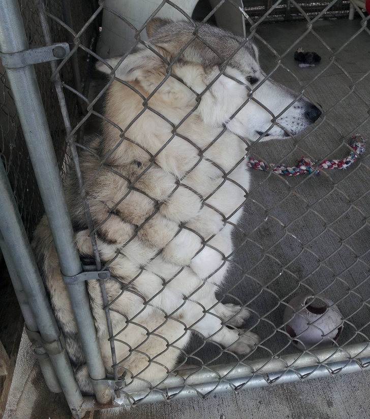 18 фотографий, каждая из которых наполнена трогательным смыслом Жизнь,Истории,Отношения,проблемы