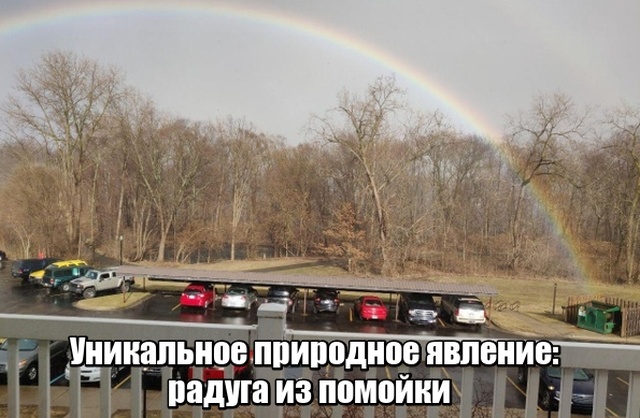 Подборка прикольных картинок 