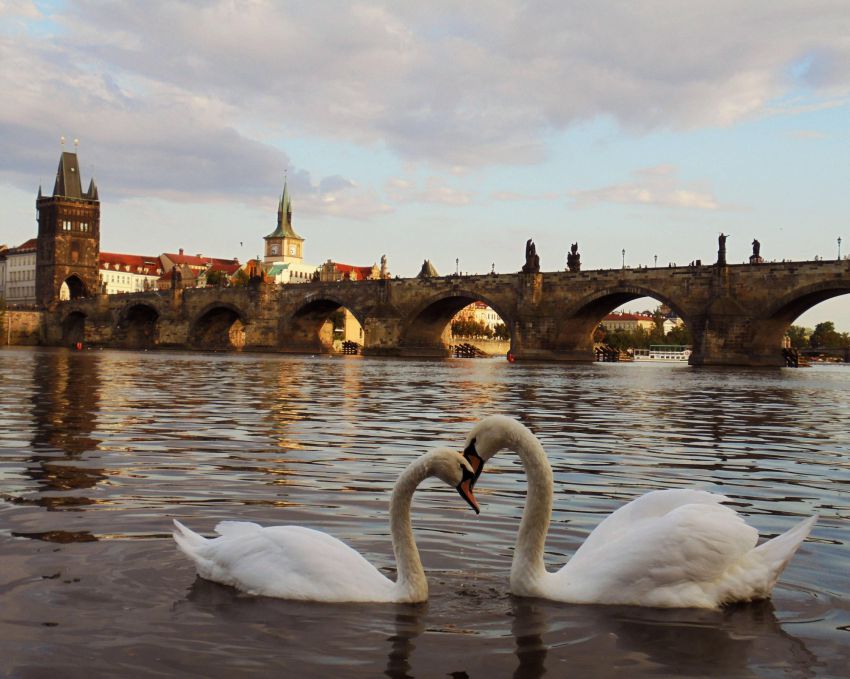 Фотоподборка за 26.08.2014 фото, интересное