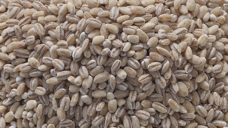 Диетолог Чехонина посоветовала есть перловку для профилактики желчекаменной болезни