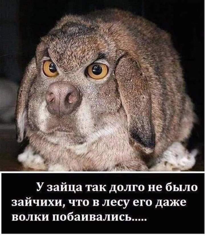 - Ты в женскую дружбу веришь?  - Лет до 12-ти... спросила, лучшие, теперь, смотрел, одного, почему, нужны, народныйДевушка, любишь, сказала1917, Зимнего, выбегает, Керенский, женском, платье, контра, гонится, Крупская, мужчина, сказал