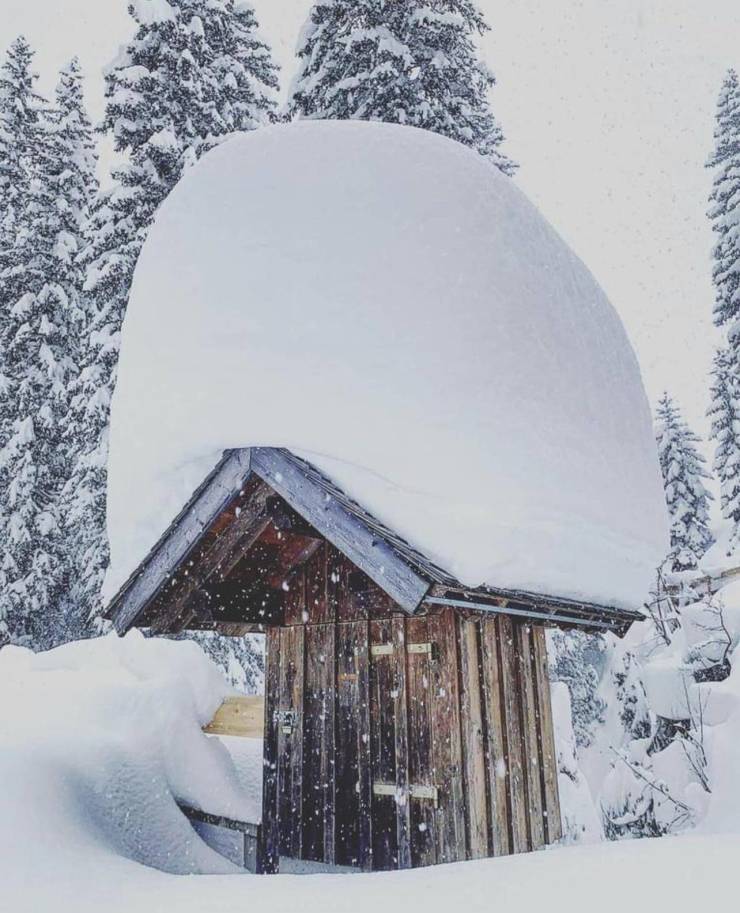 Подборка прикольных картинок.   приколы,смешные картинки,юмор