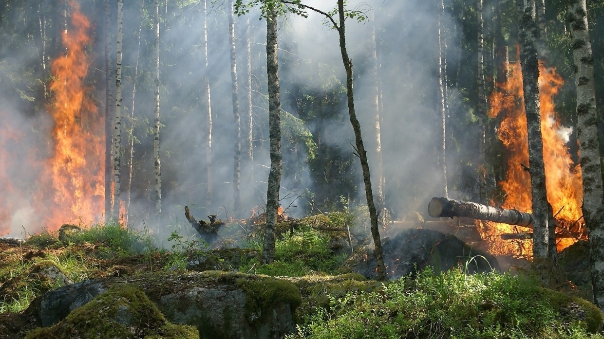 Дым от лесных пожаров наблюдается в восьми населенных пунктах Приангарья