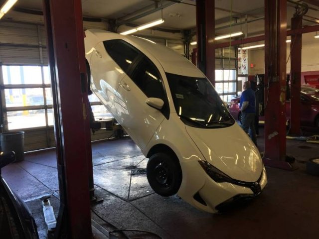 Фотоподборка четверга  