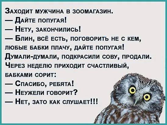 Мать спрашивает у дочери:  - Что будешь делать на Новый год? комплимент, годом, меньше, получится, каждым, время, больше, любит, всегда, делать, когда, ложат, филологов, кладут, котлеты, булочки, запорожец, остальныеПомню, первый, увидел