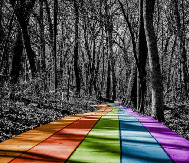 Фотоподборка понедельника  