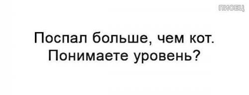 Всё, я так больше не могу. Уже нет никаких сил праздновать!