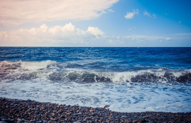 Черное море, опасно ли ты? отдых,отпуск