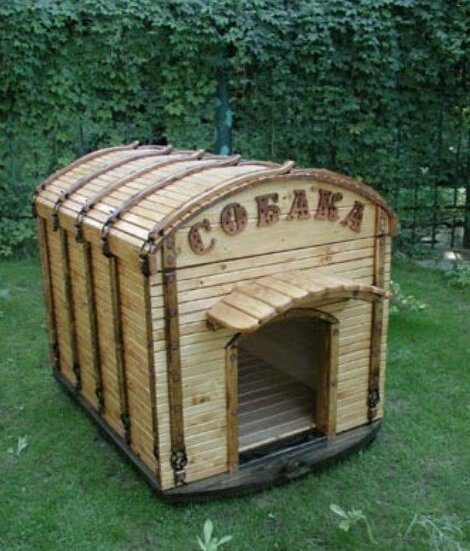 Когда очевидность становится очевидной Когда очевидность становится очевидной смешные картинки