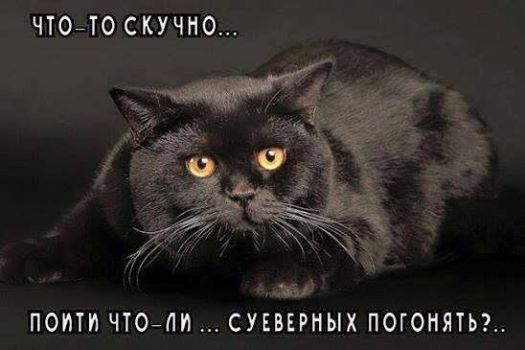 Новый год к нам мчится, скоро всё случится...) Новый год к нам мчится, скоро всё случится...)