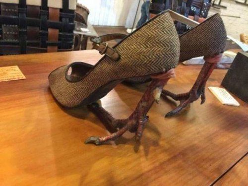 Тут происходят всякие странности...