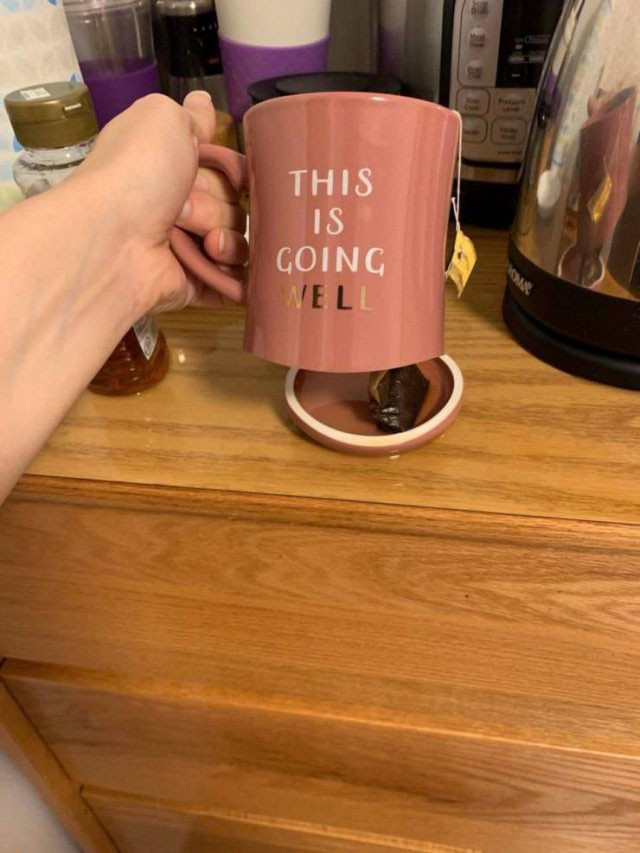 Все пошло не так, как надо: у этих людей определенно худший день Все пошло не так, как надо: у этих людей определенно худший день на злобу дня,юмор