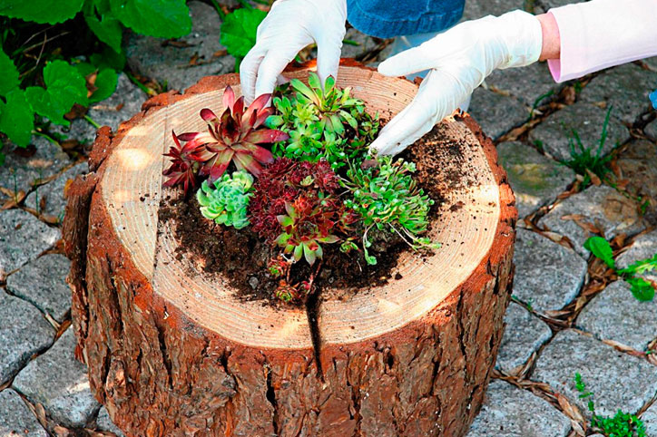 Ландшафтный дизайн вашего участка своими руками. Идеи для творческого вдохновения. handmake,поделки для сада,полезные советы,разное