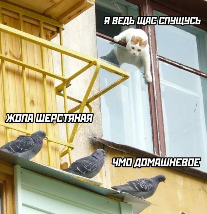 Юмор для тех, кто уже повзрослел и понял, что «приоритеты» - это сначала налить кофе, а потом спасать мир 