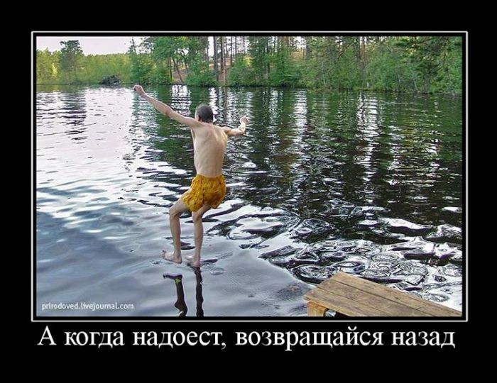 Демотиваторы демотиваторы, прикол, юмор