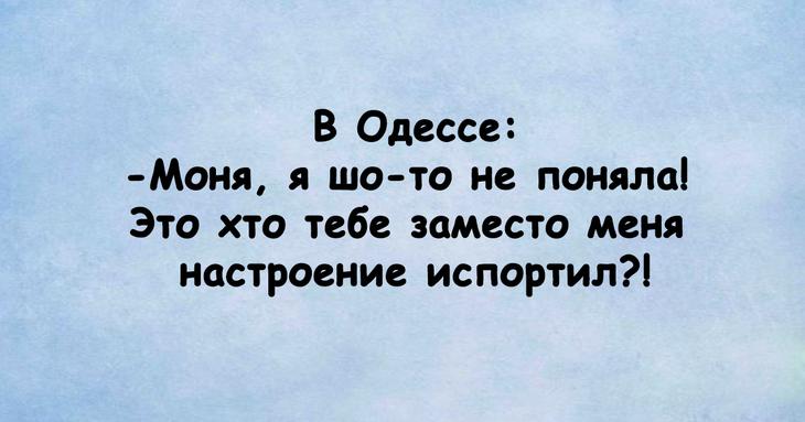 Выборка смешных рассказов на любой вкус 