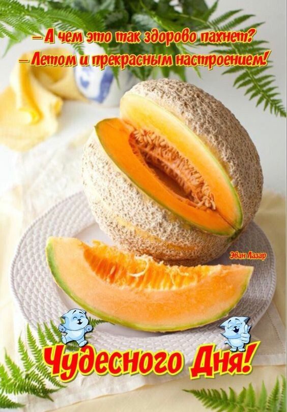 Лучшие короткие шутки в картинках для отличного дня! Лучшие короткие шутки в картинках для отличного дня!