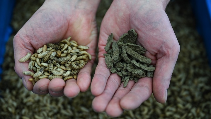 ПРОНЬКО: МИНИСТР УСТРОИЛ "ЦИРК С КОНЯМИ" – ХУЖЕ ТОЛЬКО БИЛЛ ГЕЙТС