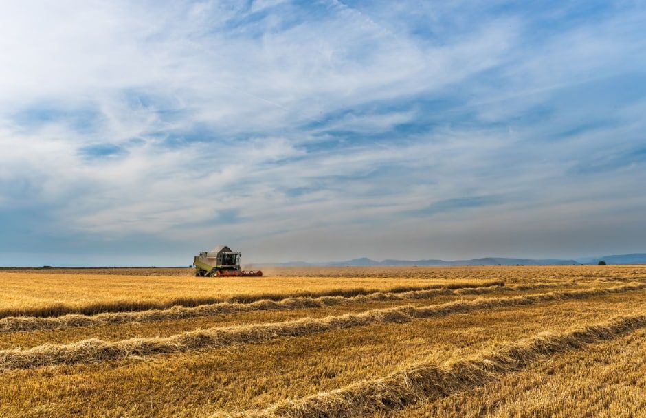 Кубанские фермеры с 2023 года будут получать землю без торгов