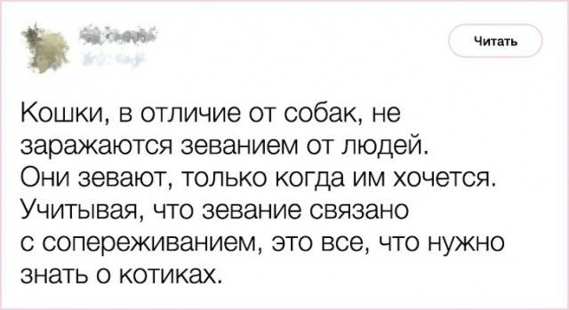 Пусть он ходит везде с тобой, там поймешь, кто такой..) веселые картинки
