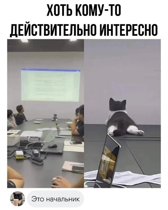 Забавные комментарии, словно острый соус, оживляющие каждый пост Забавные комментарии, словно острый соус, оживляющие каждый пост