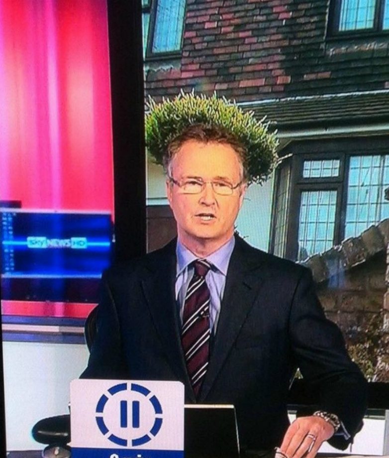 17 случайных кадров, при взгляде на которые невозможно не улыбаться 