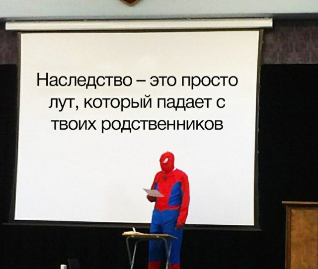 Фотоподборка среды Фотоподборка среды