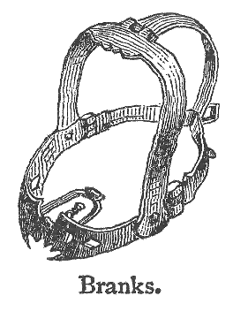 Держи язык за зубами: железная маска, с помощью которой в Средневековье наказывали за сплетни 