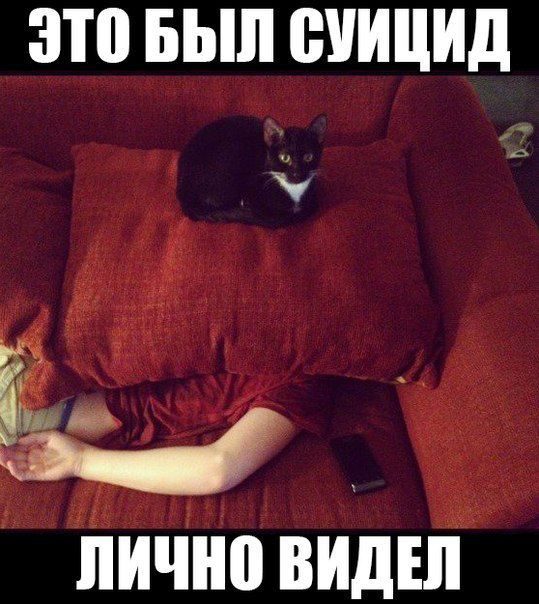 Марта, прикольные картинки самоубийц