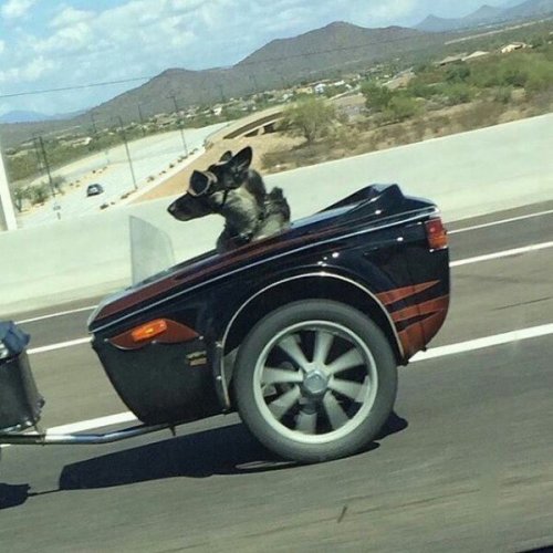 Фотоприколы на автотематику (24 фото)