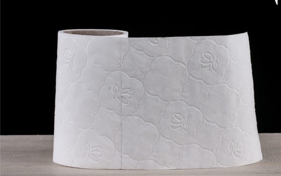 Наполнитель для кошачьего туалета, молотый кофе: вещи, которые нельзя выбрасывать в канализацию безопасность дома,полезные советы