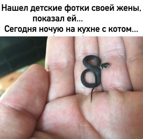 Юмор из интернета 610 Юмор из интернета 610 позитив,смех,улыбки,юмор