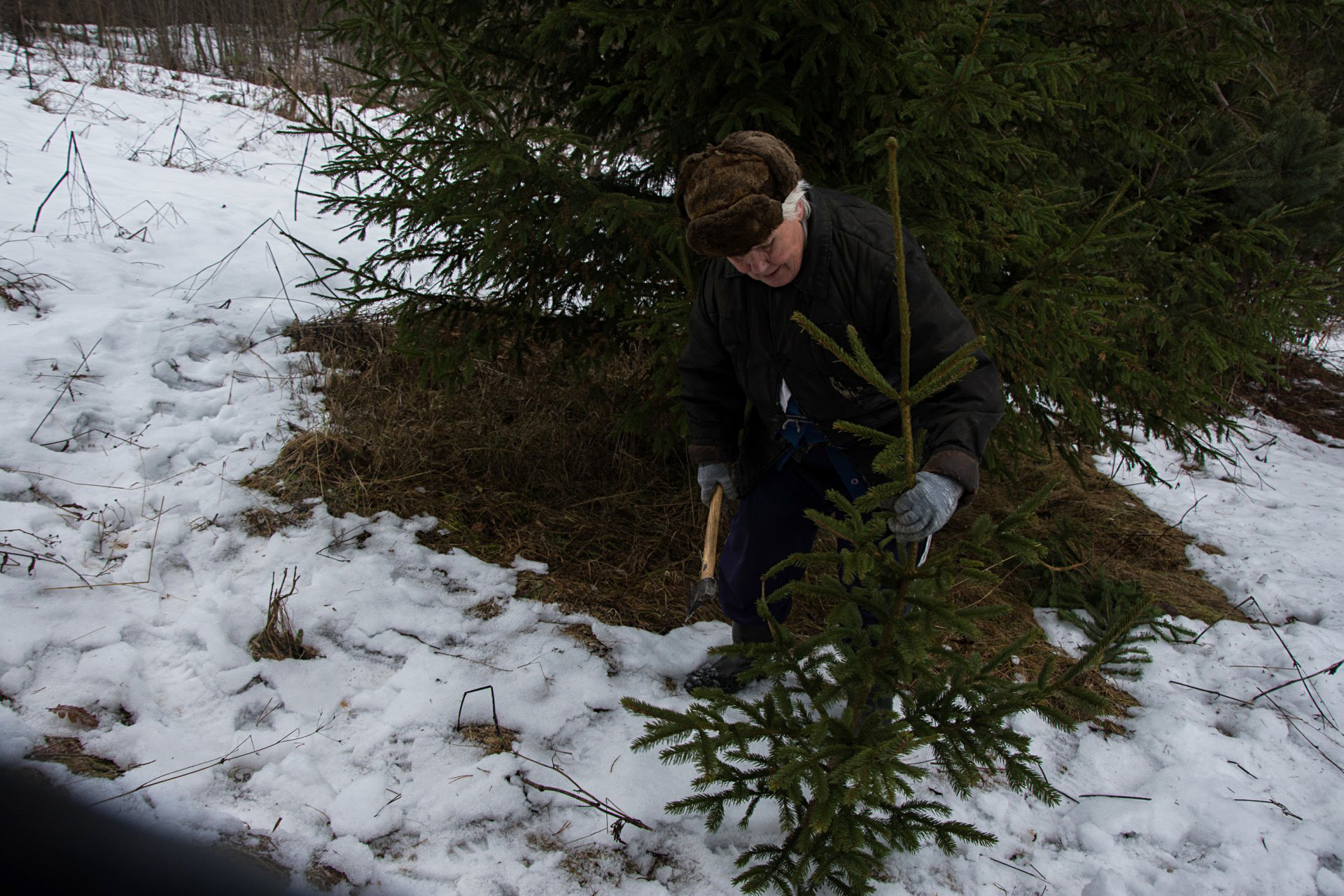 Как пенсионерка Люська живет совсем одна в псковской деревне глубинка,деревня,Живое