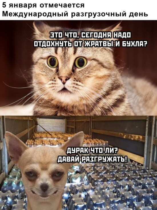Подборка прикольных картинок Подборка прикольных картинок приколы,смешные картинки,юмор