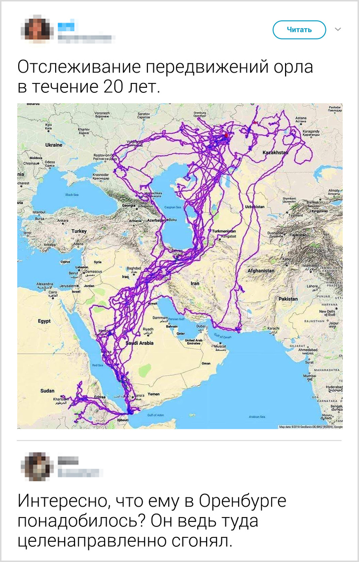 17 фото, каждое из которых может стать для вас небольшим открытием 17 фото, каждое из которых может стать для вас небольшим открытием