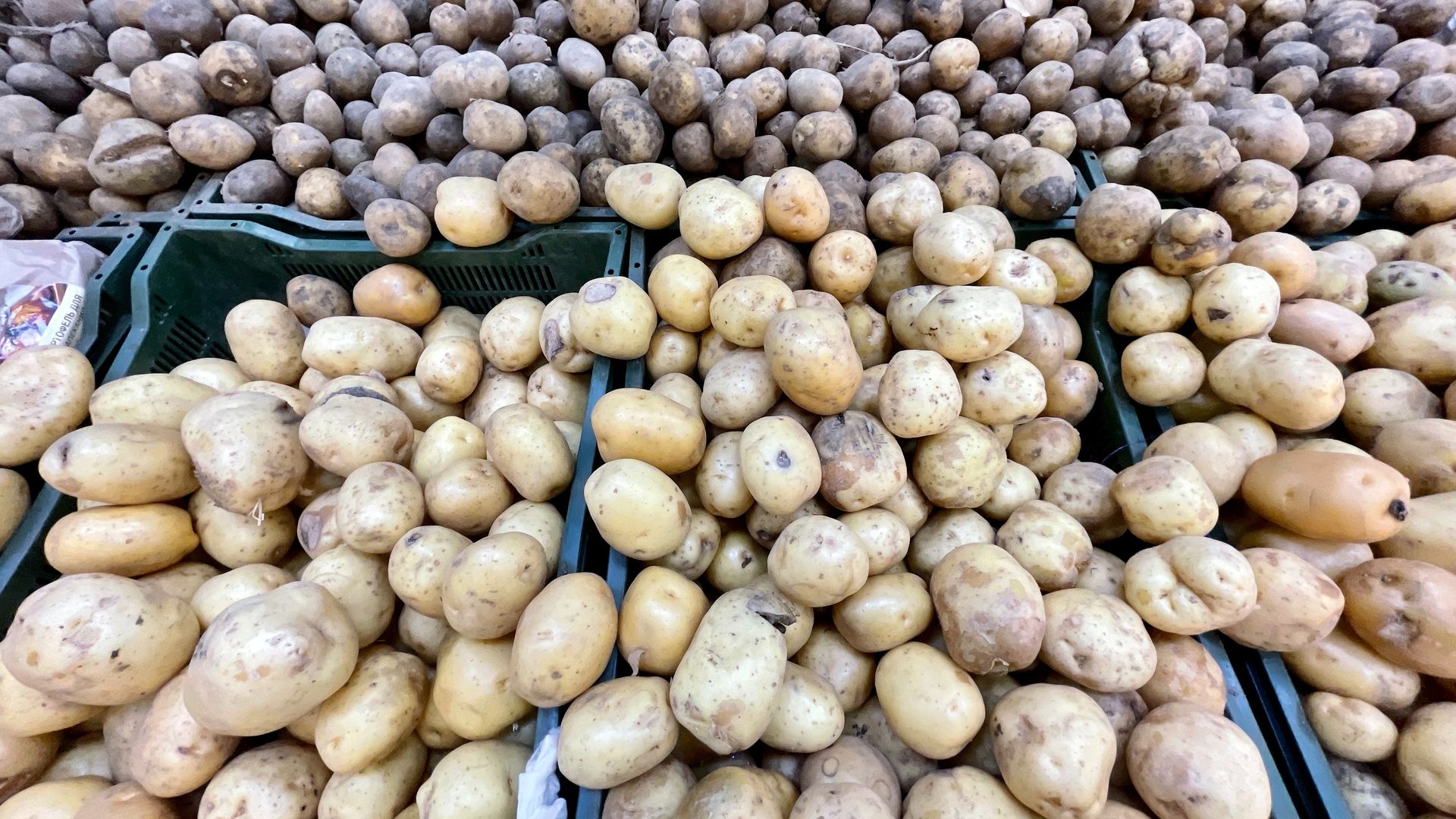 Гастроэнтеролог Грек назвала самое полезное блюдо из картофеля