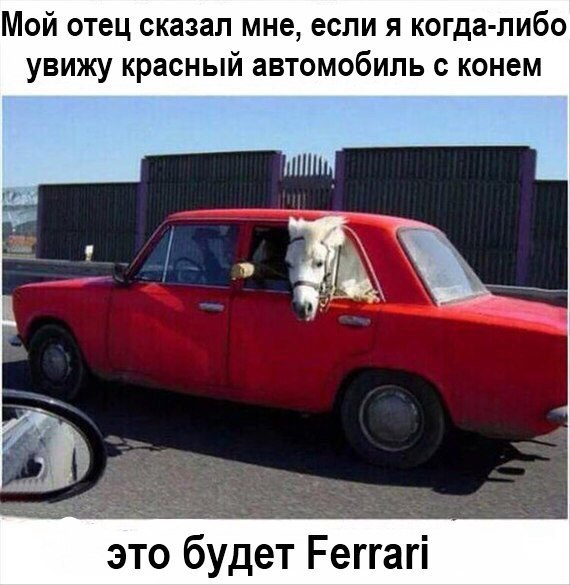 Веселые фото с животными Веселые фото с животными