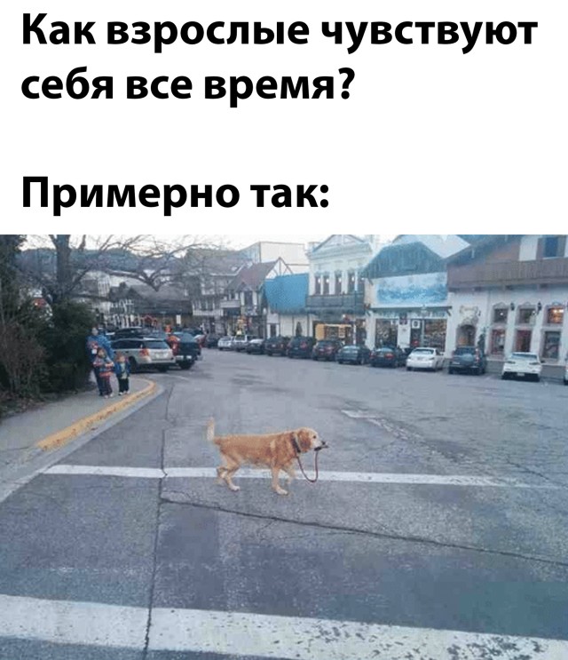 Подборка прикольных картинок  приколы,смешные картинки,юмор