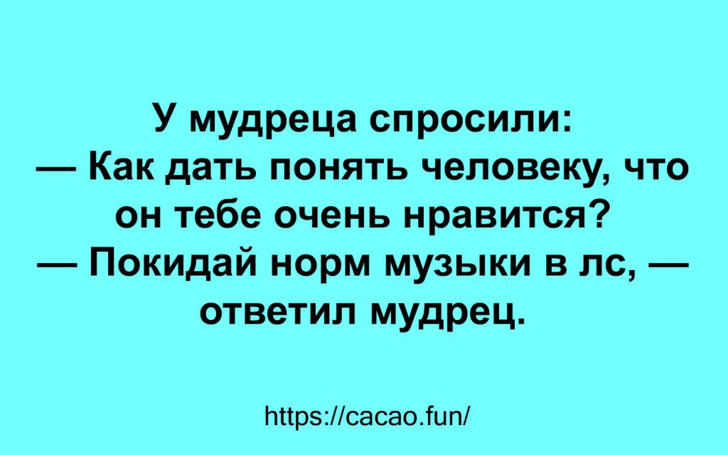 Поднимаем настроение: яркие афоризмы и анекдоты 