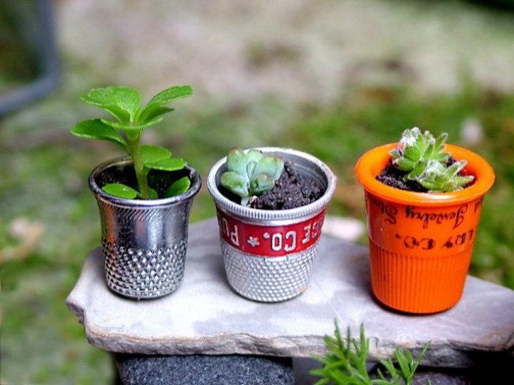 20 маленьких садов, которые поместятся в ладошке вдохновляемся,миниатюра,сад