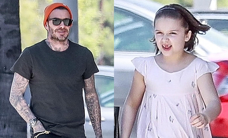 Леди Босс: Харпер и Дэвид Бекхэм на шопинге в Лос-Анджелесе