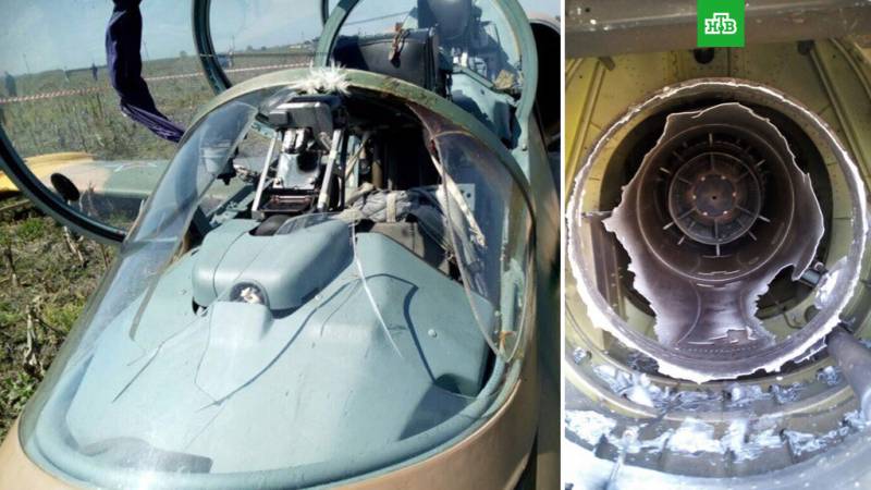 Самолет vs птицы – фатальное противостояние ввс