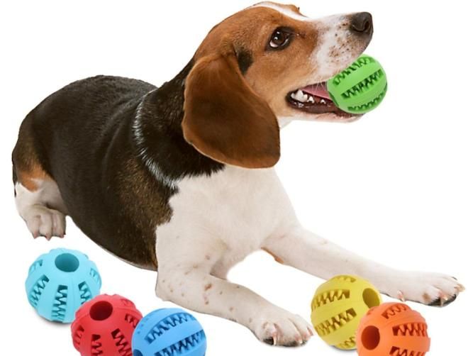 Чистка зубов собаке – выбор подходящего средства, правила чистки, особенности ультразвуковой процедуры наши любимцы,полезные советы